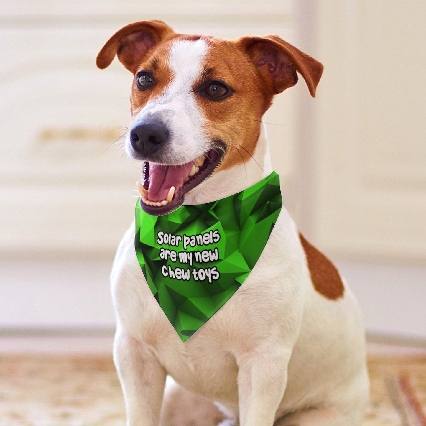 Canine attitude scarf