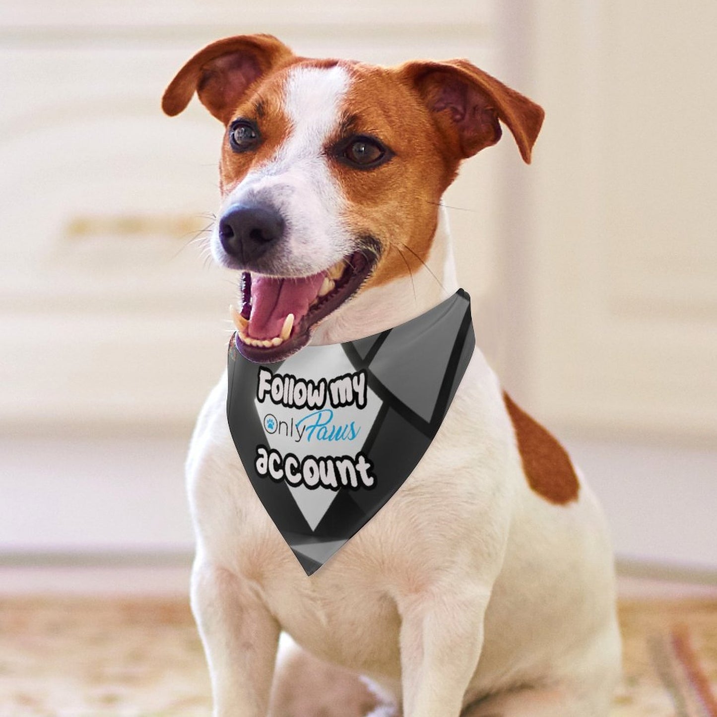 Canine attitude scarf