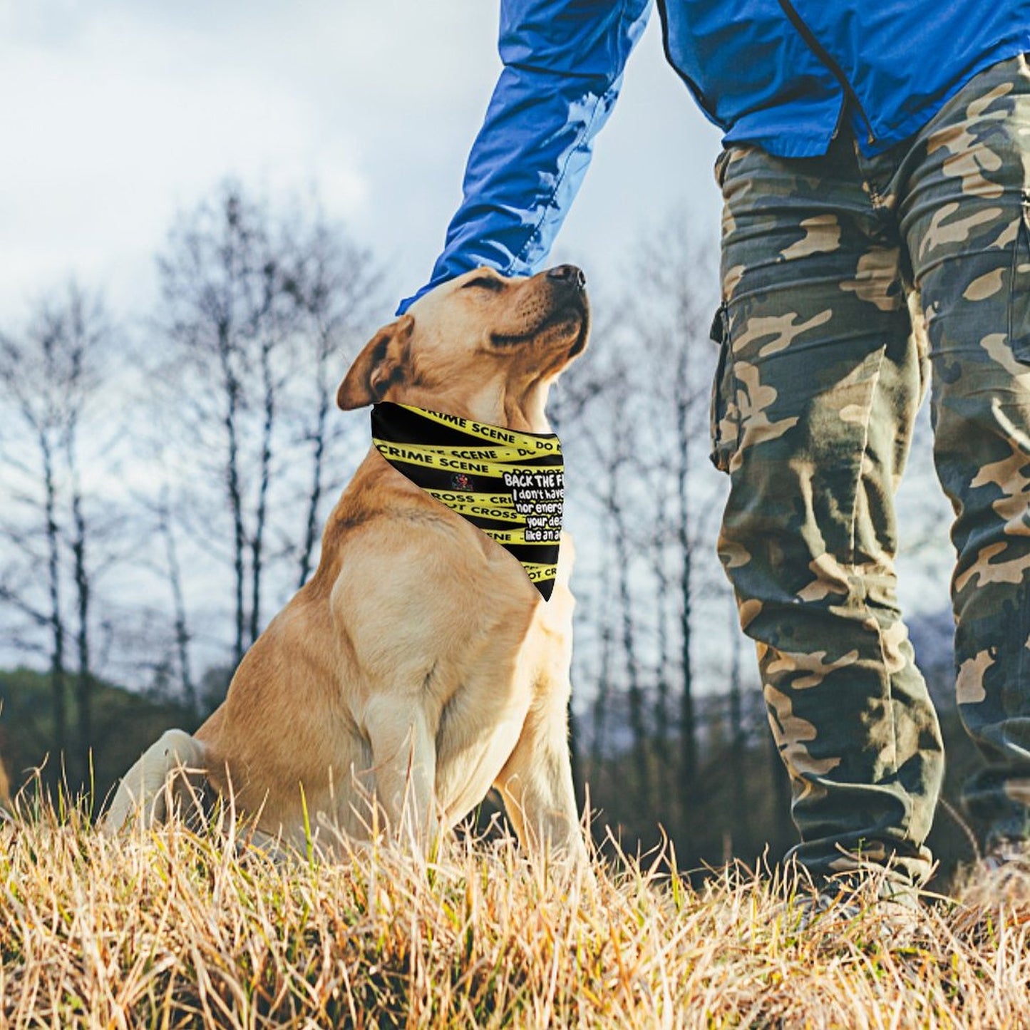 Canine attitude scarf