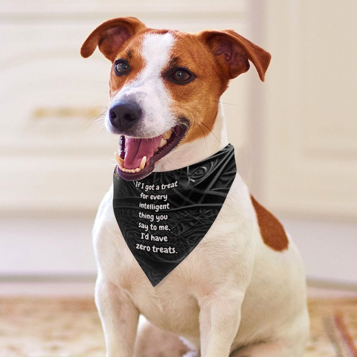 Canine attitude scarf