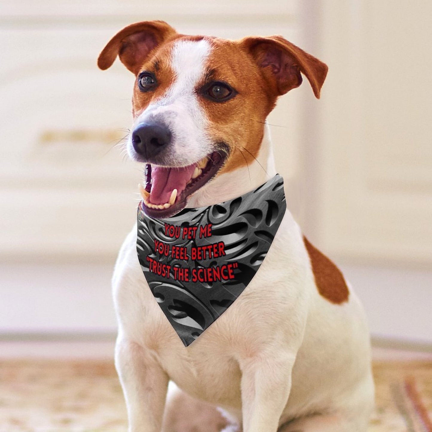 Canine attitude scarves