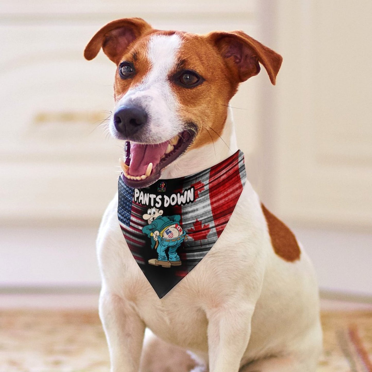 Canine attitude scarf