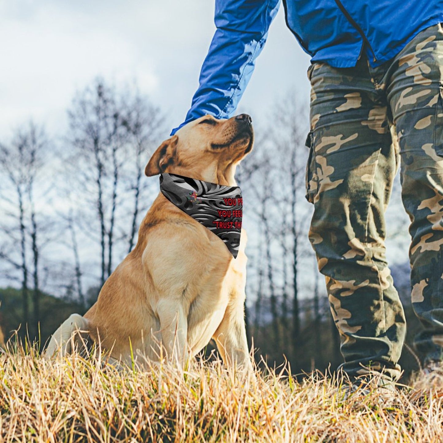 Canine attitude scarves