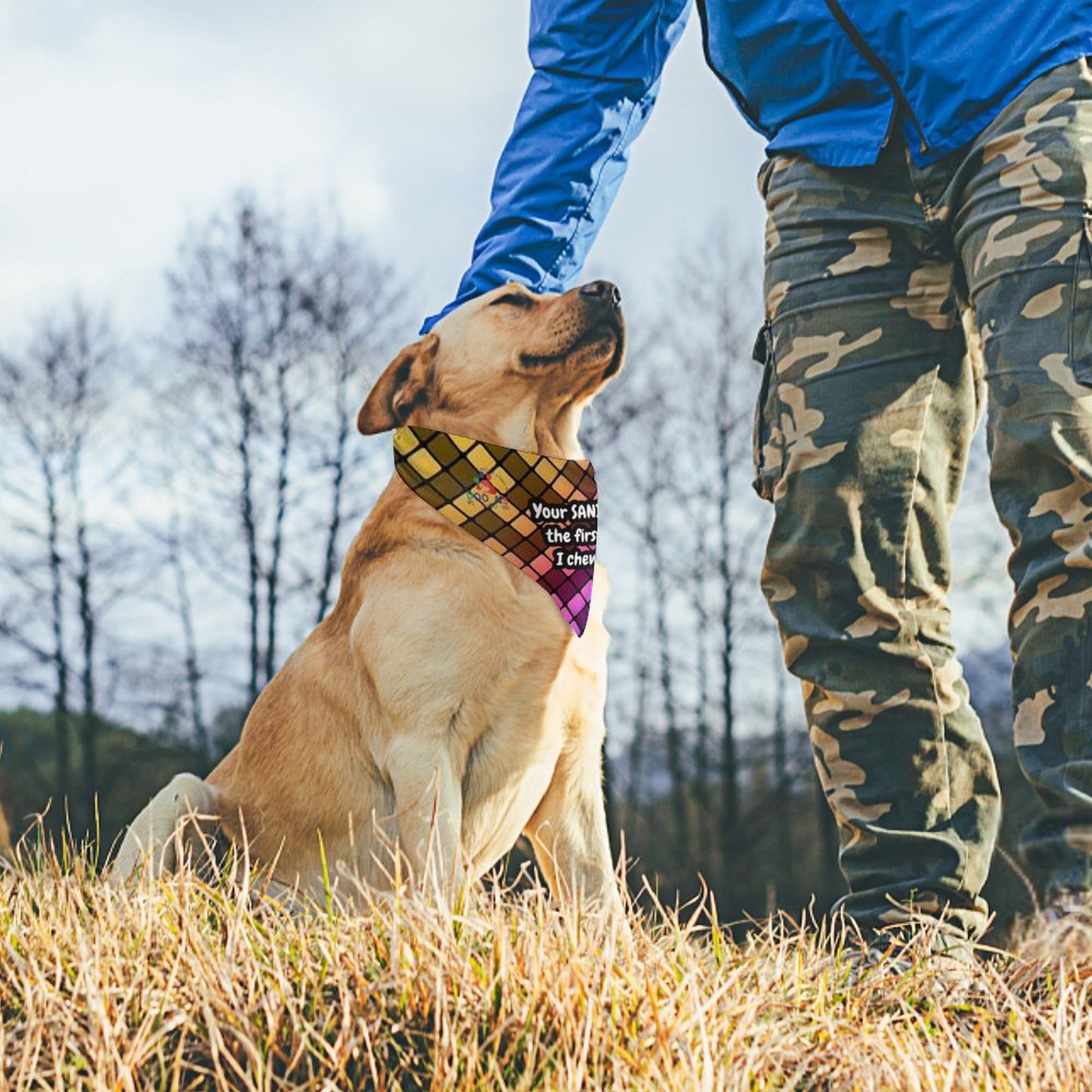 Canine Attitude scarves