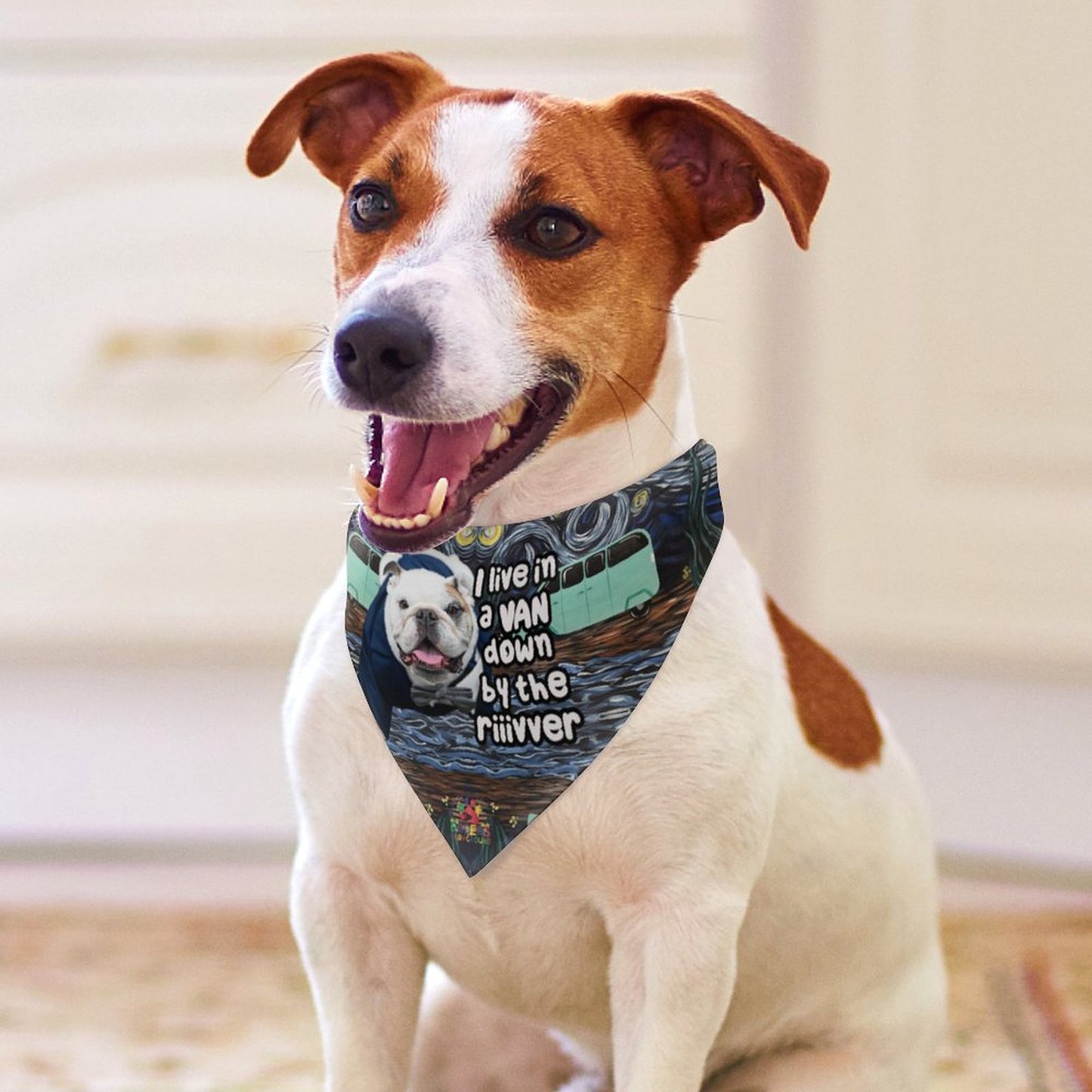 Canine attitude scarf