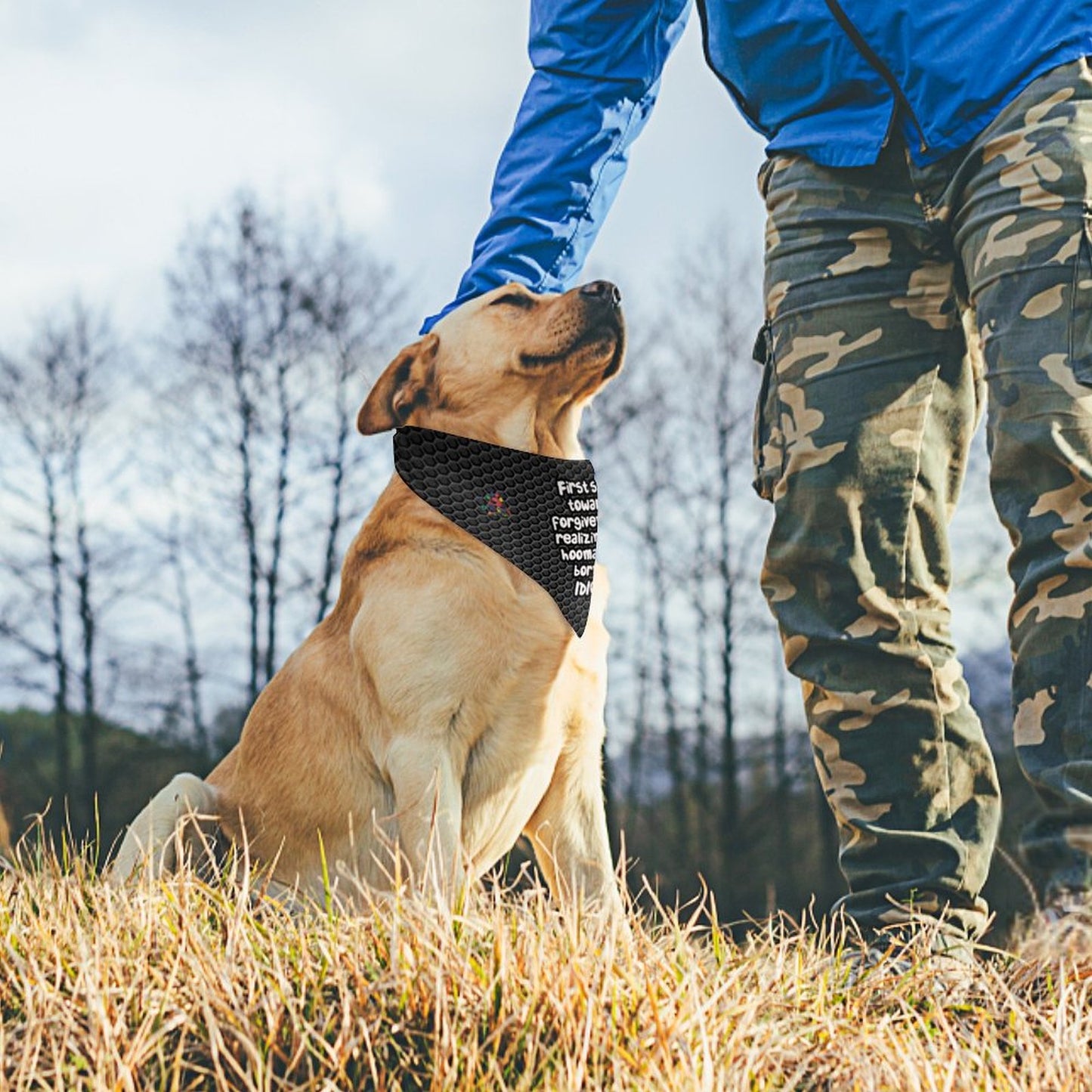 Canine attitude scarf