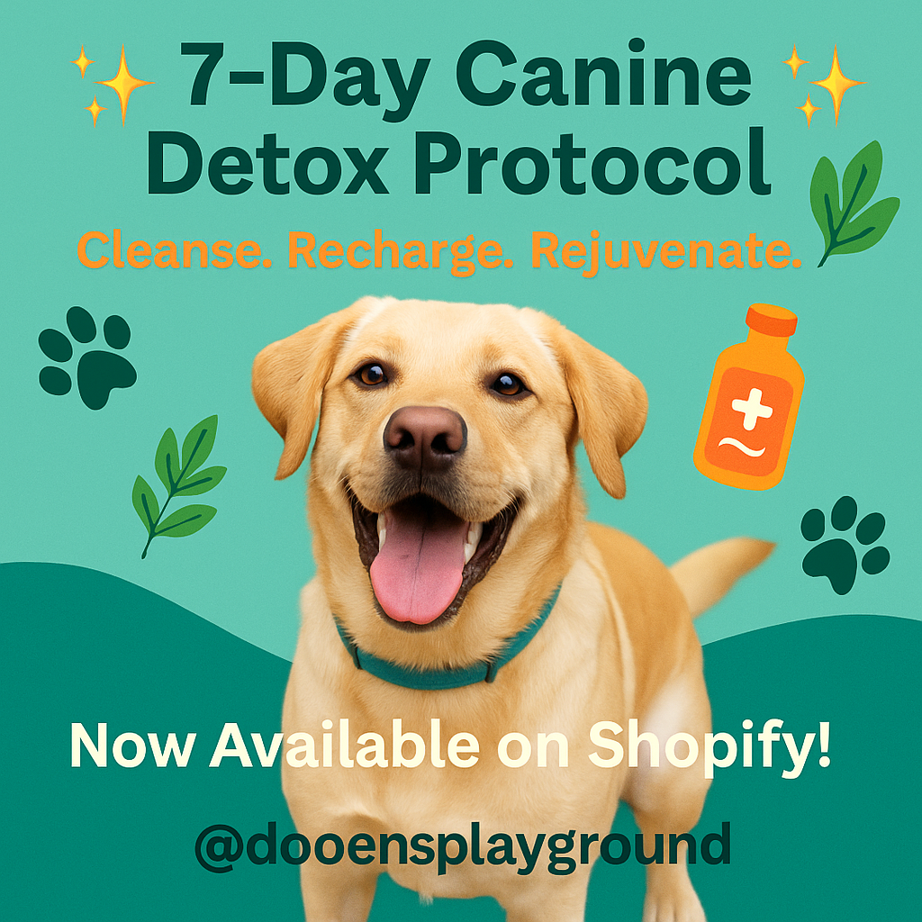 7-Day Canine Detox Protocol (Instant Download PDF) A holistic reset for your dog’s gut, energy, and glow-up