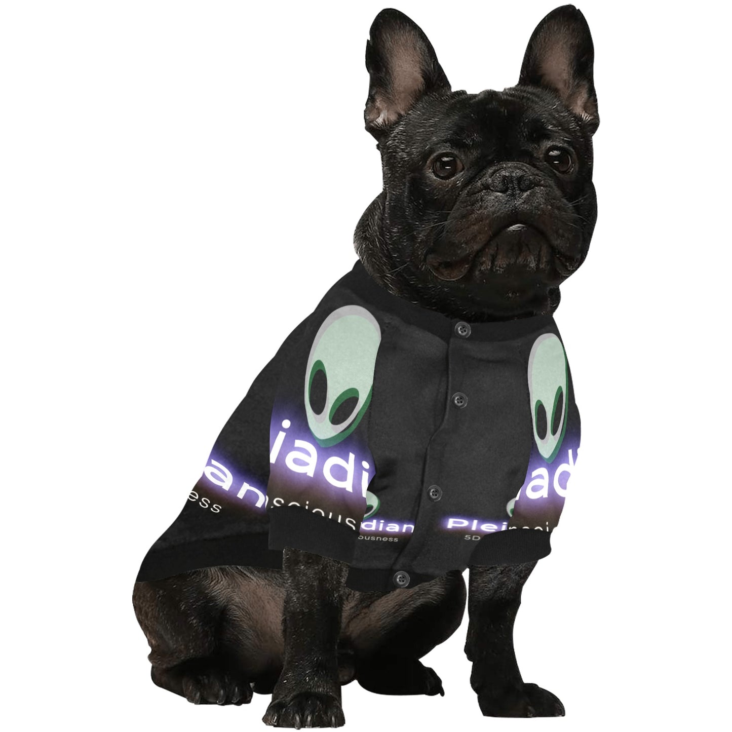 dog jacket